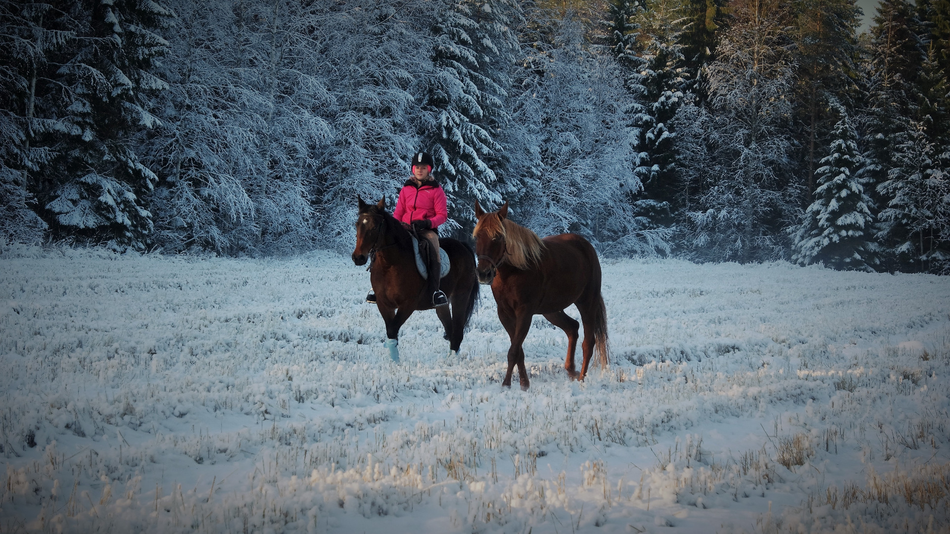 Vikkis,minä ja Melina