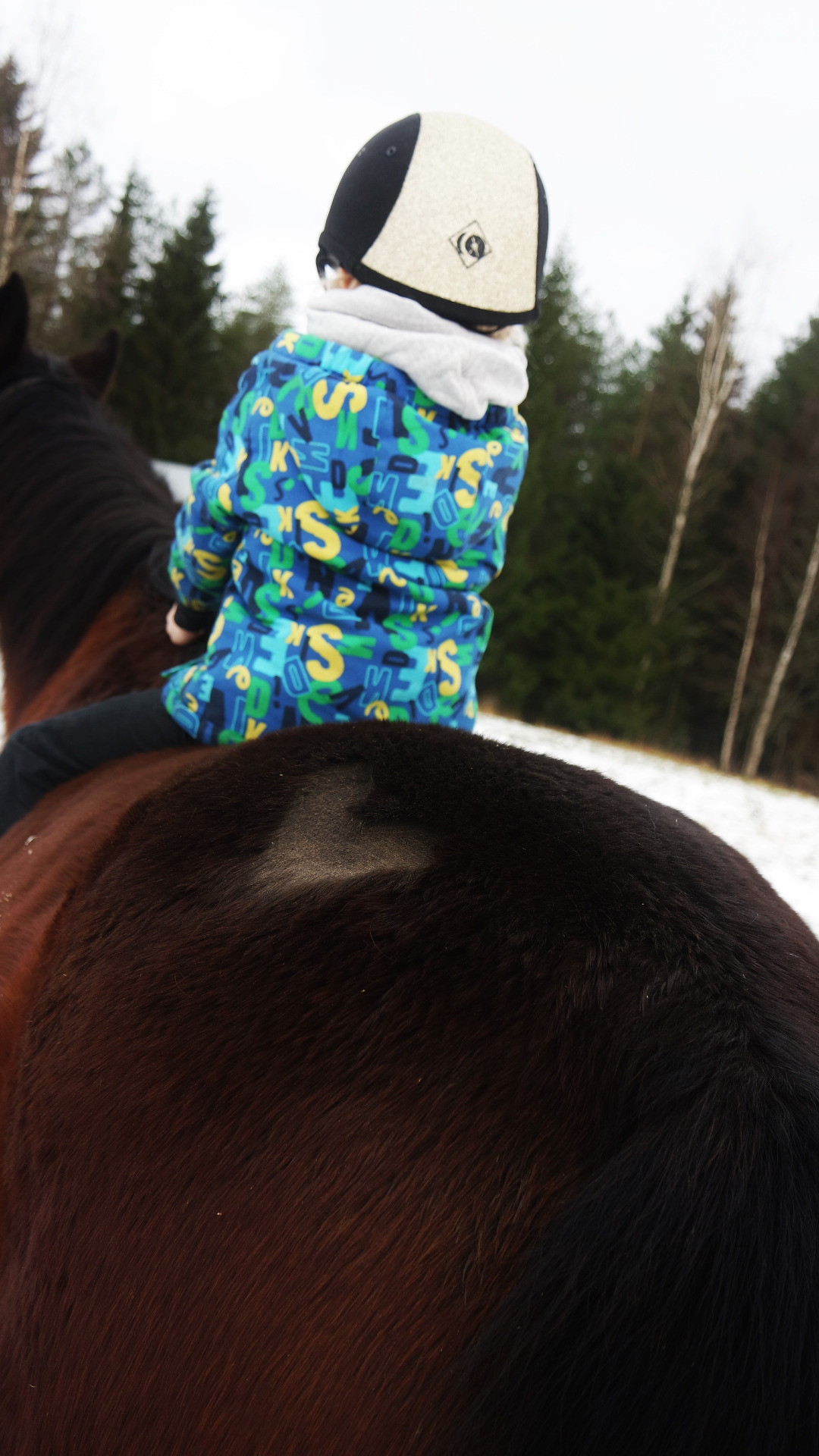 paras turvavaruste on yhteys hevoseen