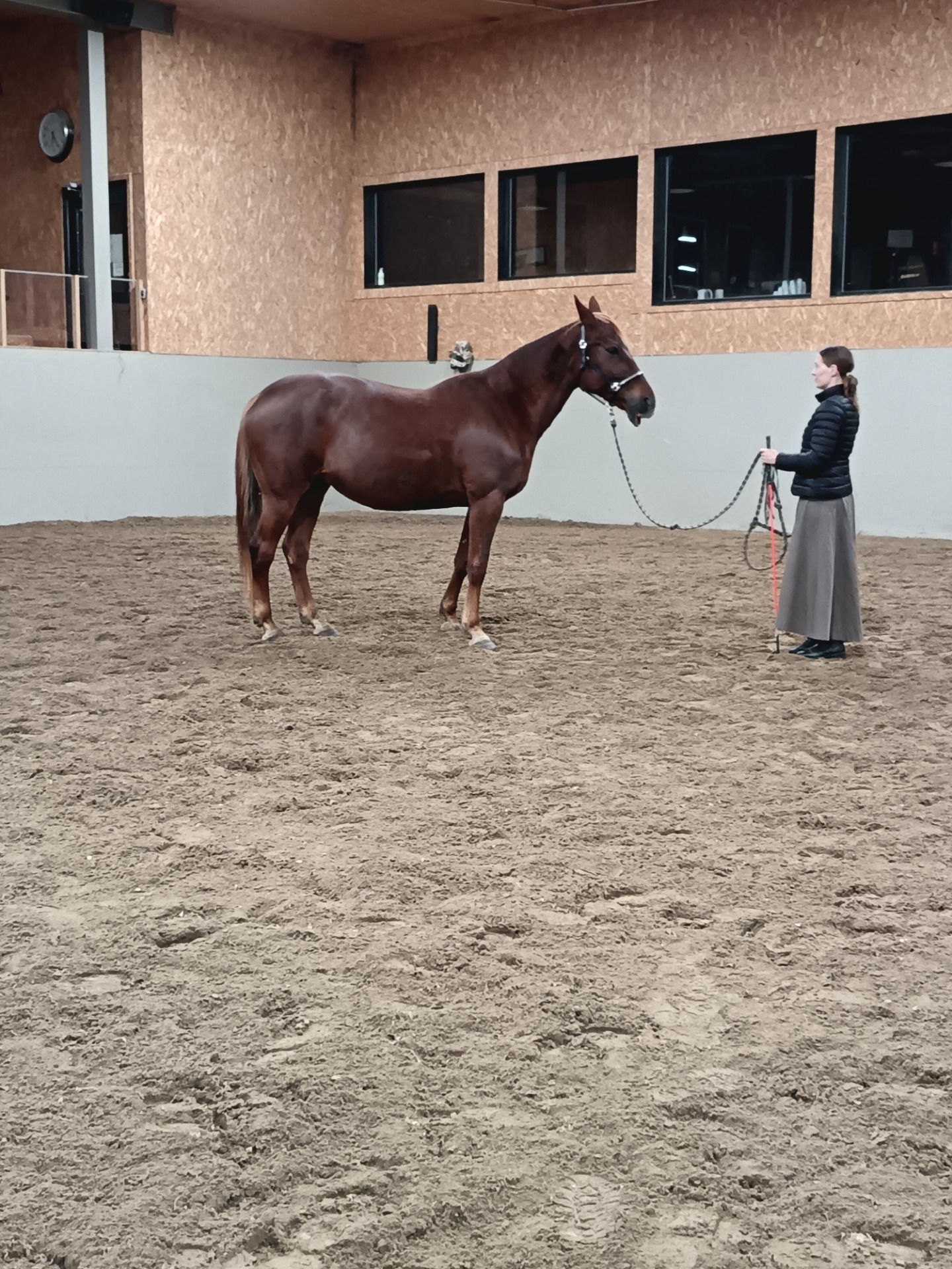 Melina ja minä 2025 ratsastuskeskus Lupis